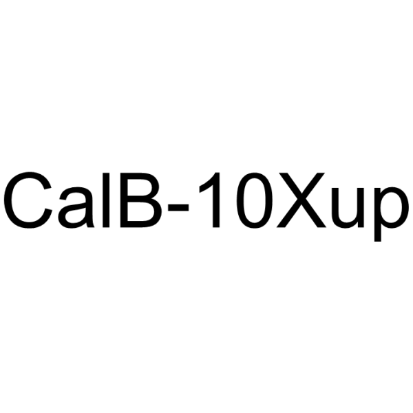CalB-10Xup